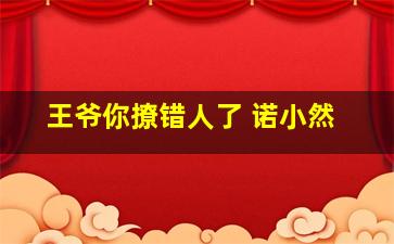 王爷你撩错人了 诺小然